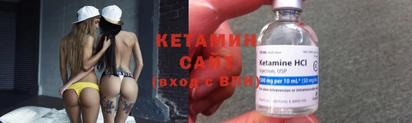 ПСИЛОЦИБИНОВЫЕ ГРИБЫ Горно-Алтайск
