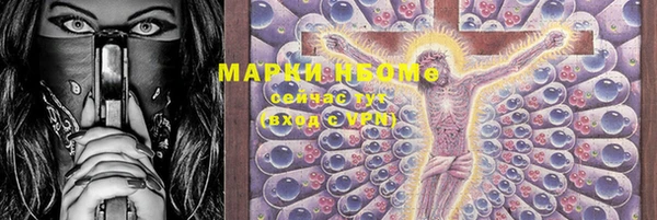 ПСИЛОЦИБИНОВЫЕ ГРИБЫ Горно-Алтайск