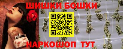 дмт Будённовск