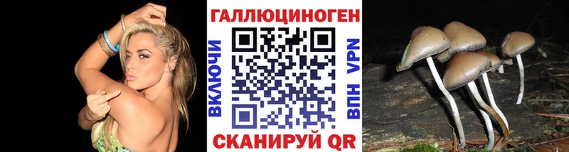 Псилоцибиновые грибы Psilocybine cubensis Богородск