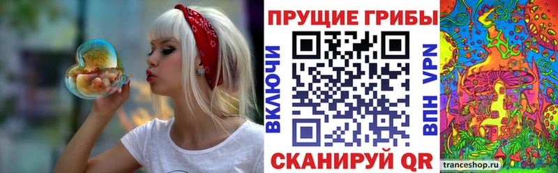 ссылка на мегу сайт  Богородск  Псилоцибиновые грибы мицелий 