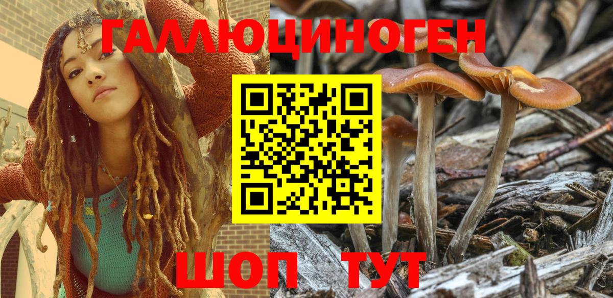 Галлюциногенные грибы Psilocybine cubensis  как найти закладки  Галлюциногенные грибы мухоморы  Богородск 